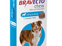 Bravecto chew for dogs - treats fleas and ticks