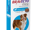 Bravecto chew for dogs - treats fleas and ticks