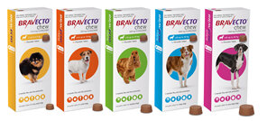 Bravecto chew for dogs - treats fleas and ticks