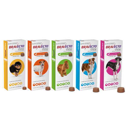 Bravecto chew for dogs - treats fleas and ticks