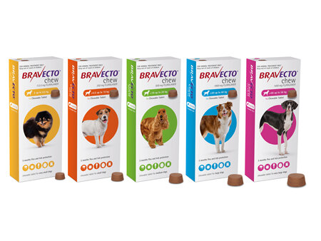 Bravecto chew for dogs - treats fleas and ticks