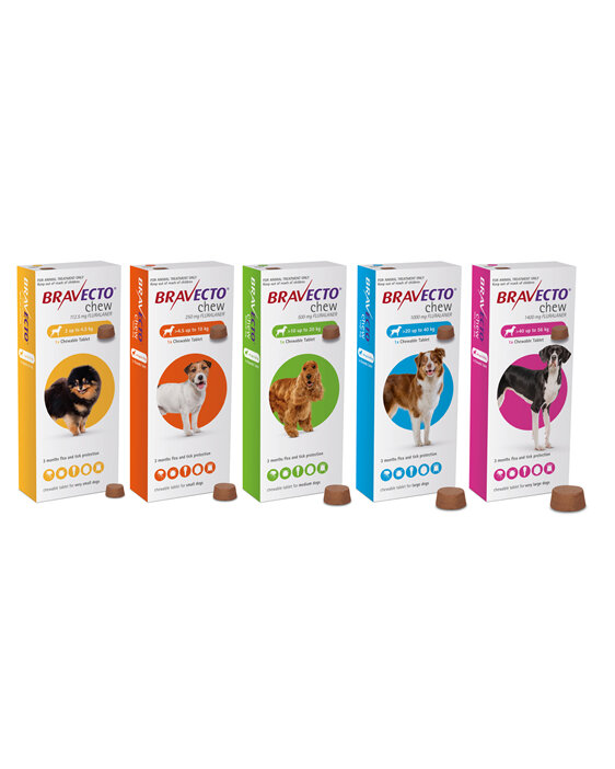 Bravecto chew for dogs - treats fleas and ticks