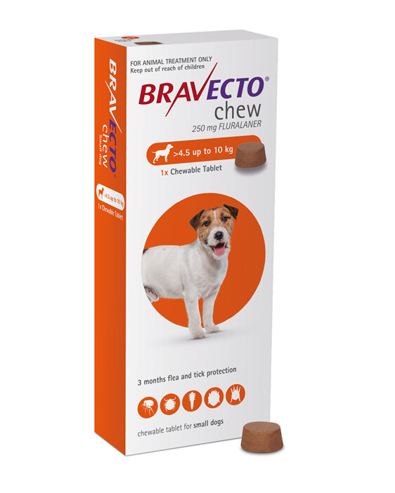 Bravecto chew for dogs - treats fleas and ticks