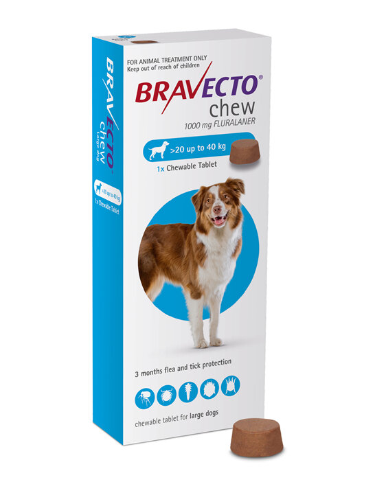 Bravecto chew for dogs - treats fleas and ticks