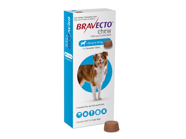 Bravecto chew for dogs - treats fleas and ticks