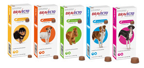 Bravecto Flea & Tick Chewable Treatment For Dogs