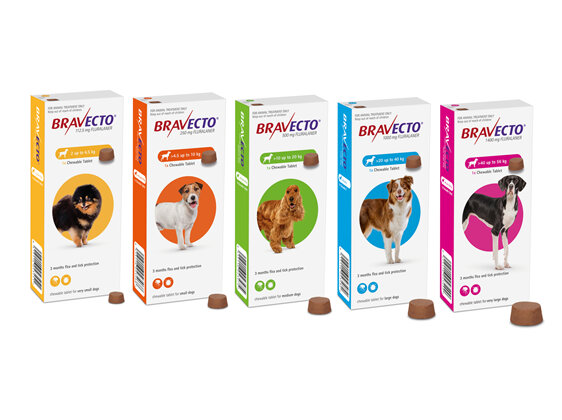 Bravecto Flea & Tick Chewable Treatment For Dogs