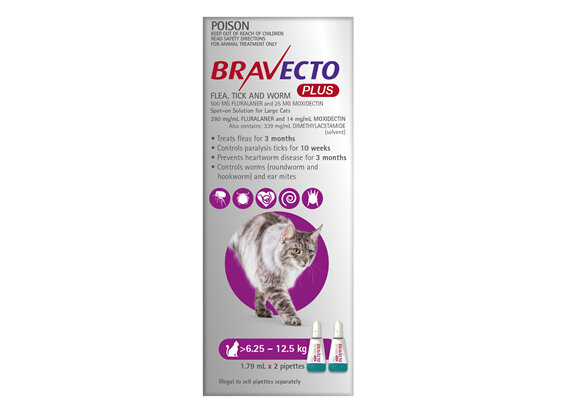 Bravecto Plus Cat for Large Cats 6.25 - 12.5 kg - Purple - 4 month pack