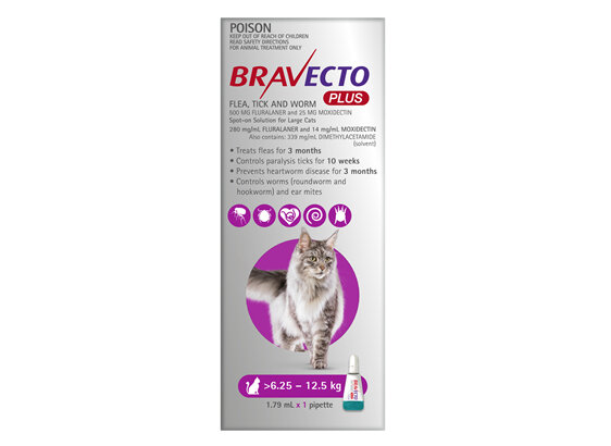 Bravecto Plus Cat for Large Cats 6.25 - 12.5 kg - Purple - 2 month pack