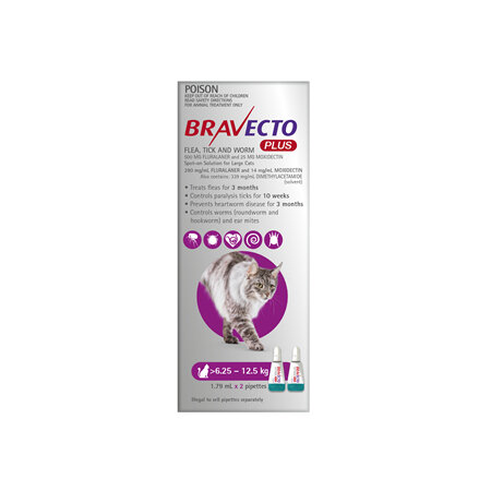 Bravecto Plus Cat for Large Cats 6.25 - 12.5 kg - Purple - 4 month pack