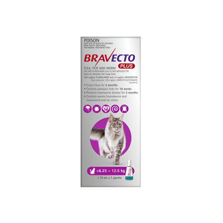 Bravecto Plus Cat for Large Cats 6.25 - 12.5 kg - Purple - 2 month pack