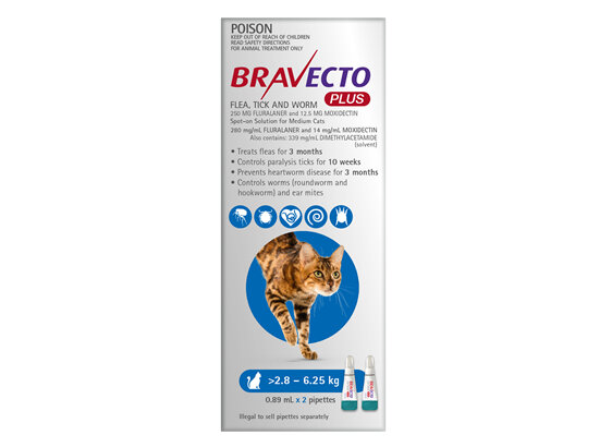 Bravecto Plus Cat for Medium Cats 2.8 - 6.25 kg - Blue - 4 month pack