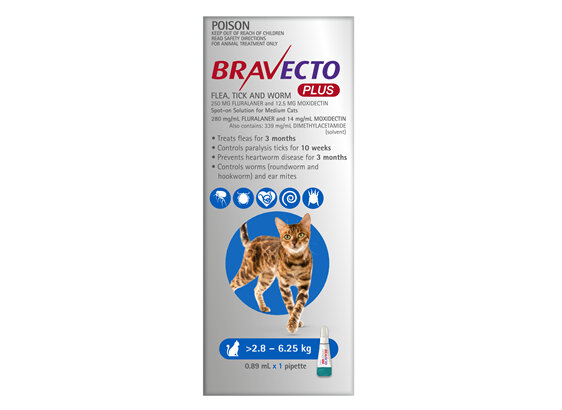 Bravecto Plus Cat for Medium Cats 2.8 - 6.25 kg - Blue - 2 month pack