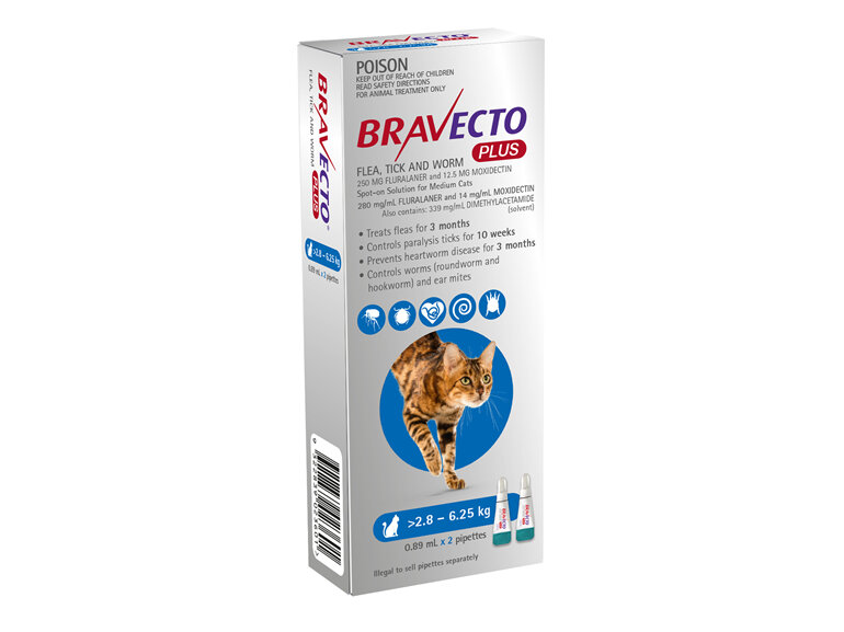 Bravecto Plus Cat for Medium Cats 2.8 - 6.25 kg - Blue - 4 month pack