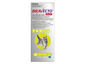 Bravecto Plus Cat for Small Cats 1.2 - 2.8 kg - Green - 2 month pack