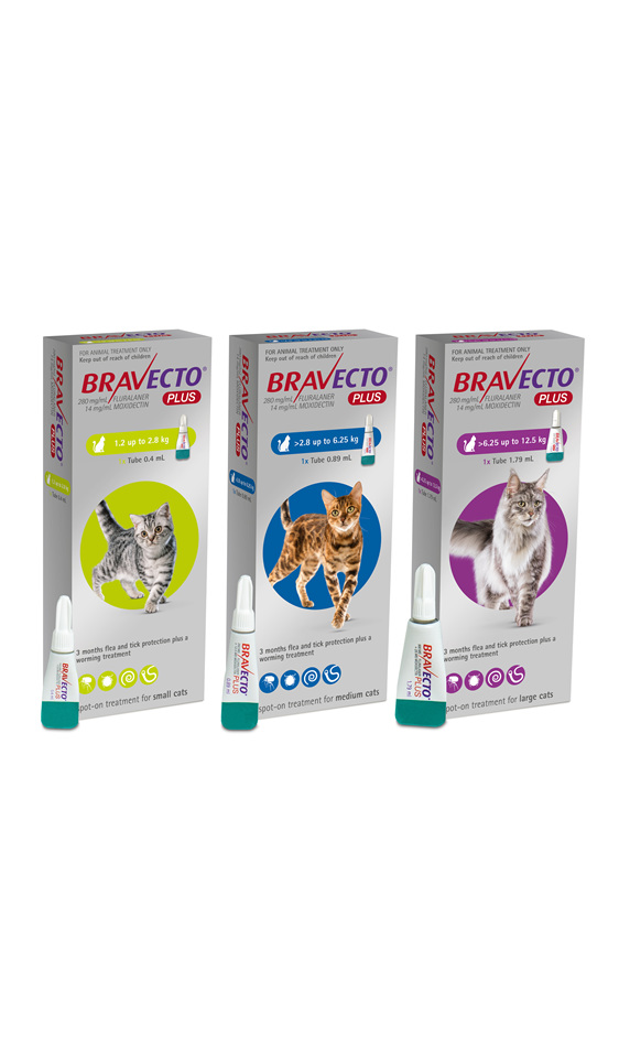 Bravecto Plus for cats