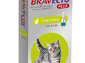 Bravecto Plus for cats - treats fleas, ticks and worms