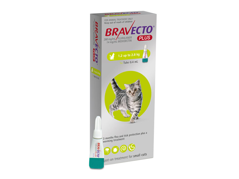 Bravecto Plus for cats - treats fleas, ticks and worms