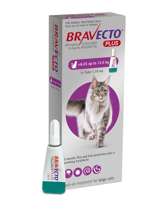 Bravecto Plus for cats - treats fleas, ticks and worms