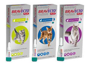 Bravecto Plus for cats - treats fleas, ticks and worms