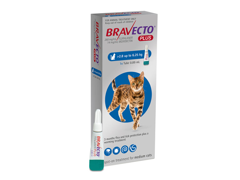 Bravecto Plus for cats - treats fleas, ticks and worms