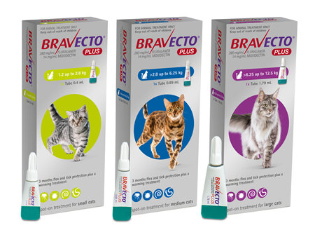 Bravecto Plus for cats - treats fleas, ticks and worms