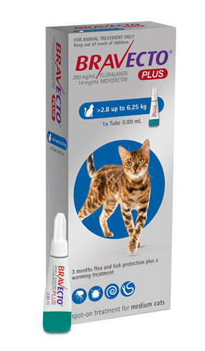 Bravecto Plus for cats - treats fleas, ticks and worms