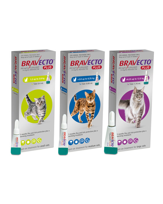 Bravecto Plus for cats - treats fleas, ticks and worms