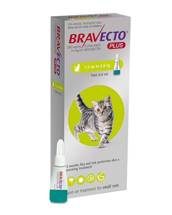 Bravecto Plus for cats - treats fleas, ticks and worms