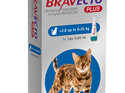 Bravecto Plus for cats - treats fleas, ticks and worms