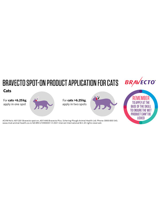 Bravecto Plus for cats - treats fleas, ticks and worms