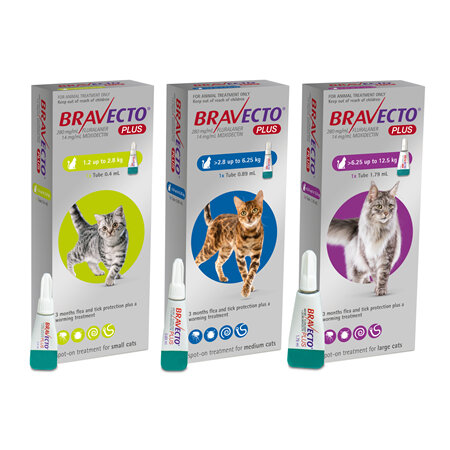 Bravecto Plus for cats - treats fleas, ticks and worms