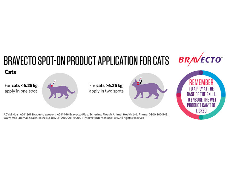 Bravecto Plus for cats - treats fleas, ticks and worms