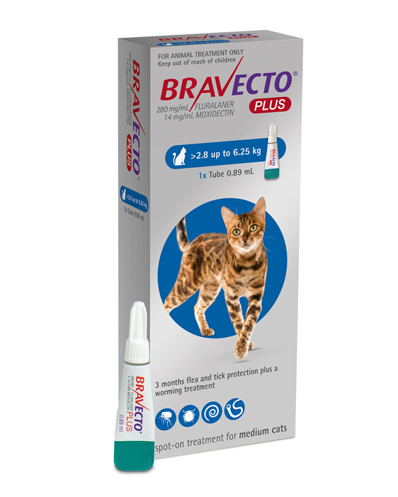 Bravecto Plus for cats - treats fleas, ticks and worms