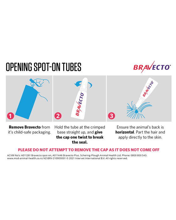 Bravecto Plus for cats - treats fleas, ticks and worms