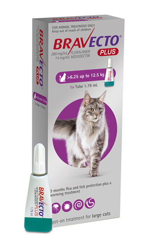 Bravecto Plus for cats - treats fleas, ticks and worms