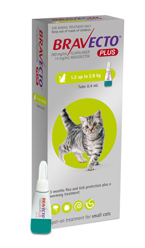 Bravecto Plus for cats - treats fleas, ticks and worms