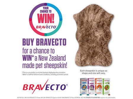 Bravecto Sheepskin promo