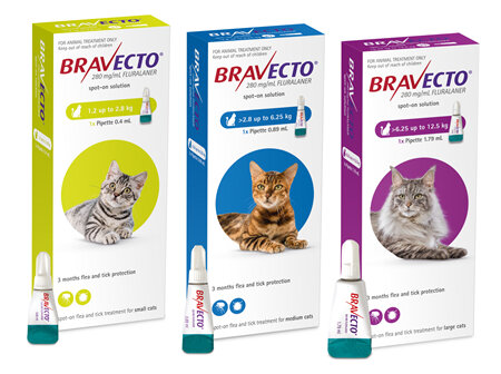 Bravecto Spot On For Cats
