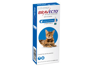 Bravecto Spot On For Cats