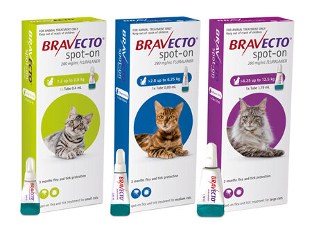 Bravecto spot-on for cats