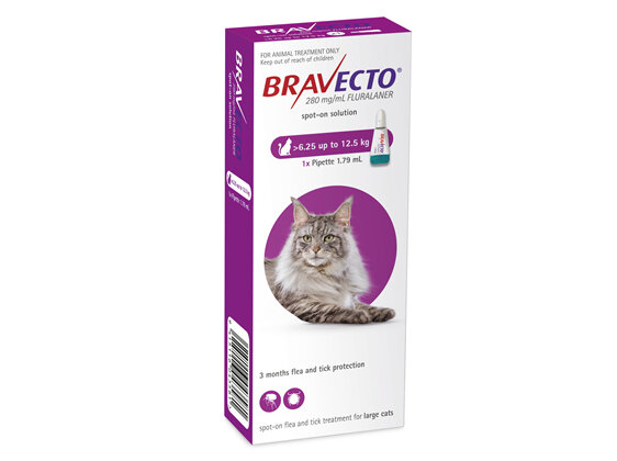 Bravecto Spot On For Cats