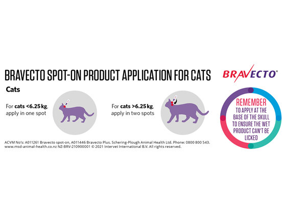 Bravecto spot-on for cats