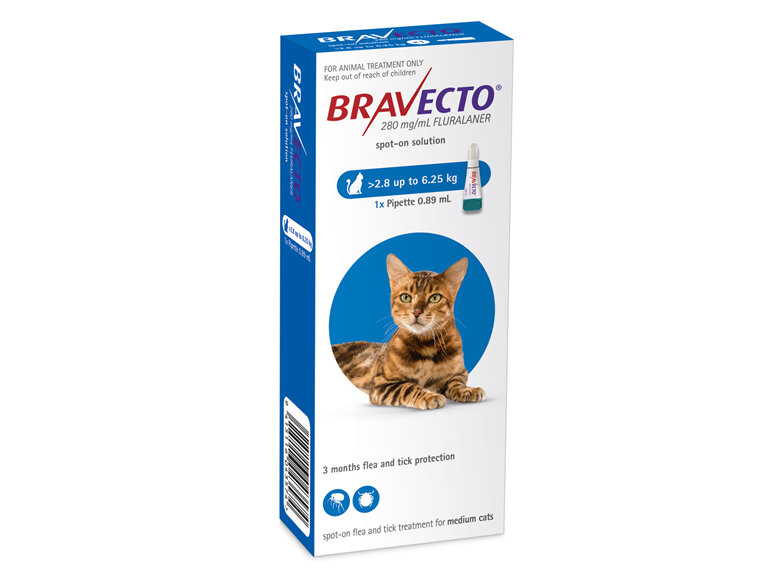 Bravecto Spot On For Cats