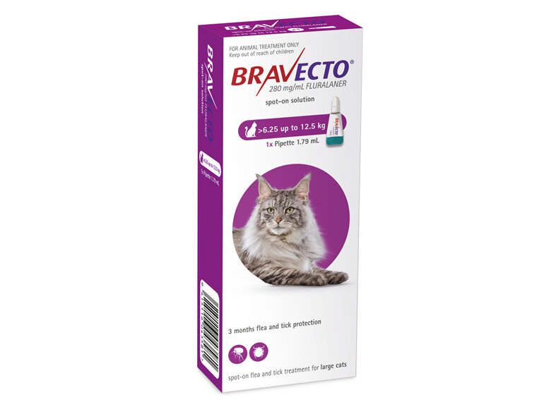 Bravecto Spot On For Cats