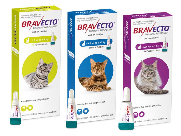 Bravecto Spot On For Cats