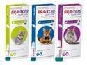 Bravecto spot-on for cats - treats fleas and ticks