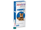 Bravecto spot-on for cats - treats fleas and ticks