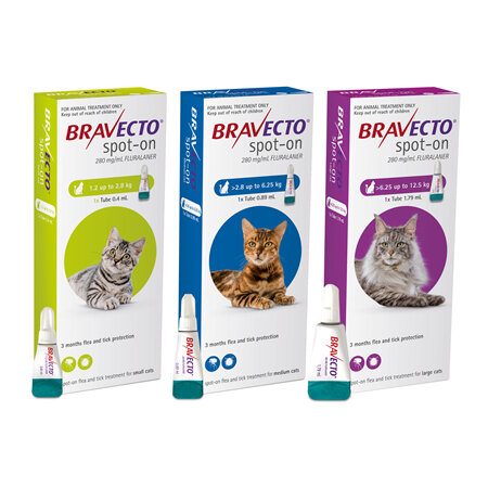 Bravecto spot-on for cats - treats fleas and ticks