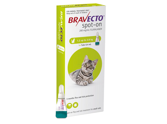 Bravecto spot-on for cats - treats fleas and ticks